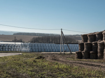 Агрофирма золотая нива инн